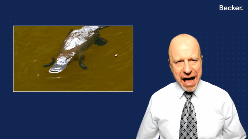 Beker CPA video lecture