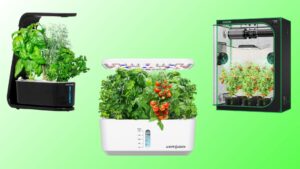 offerpad vs opendoor