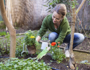 offerpad vs opendoor