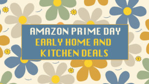 offerpad vs opendoor