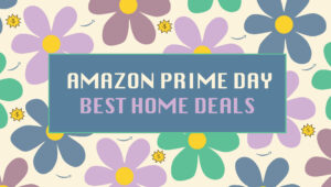 offerpad vs opendoor