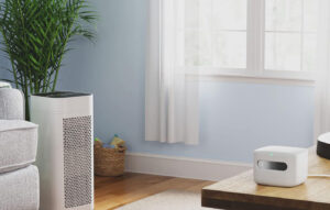 offerpad vs opendoor