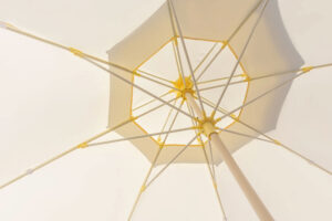 offerpad vs opendoor