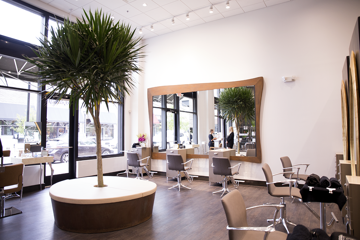 Modern Spa Waverly