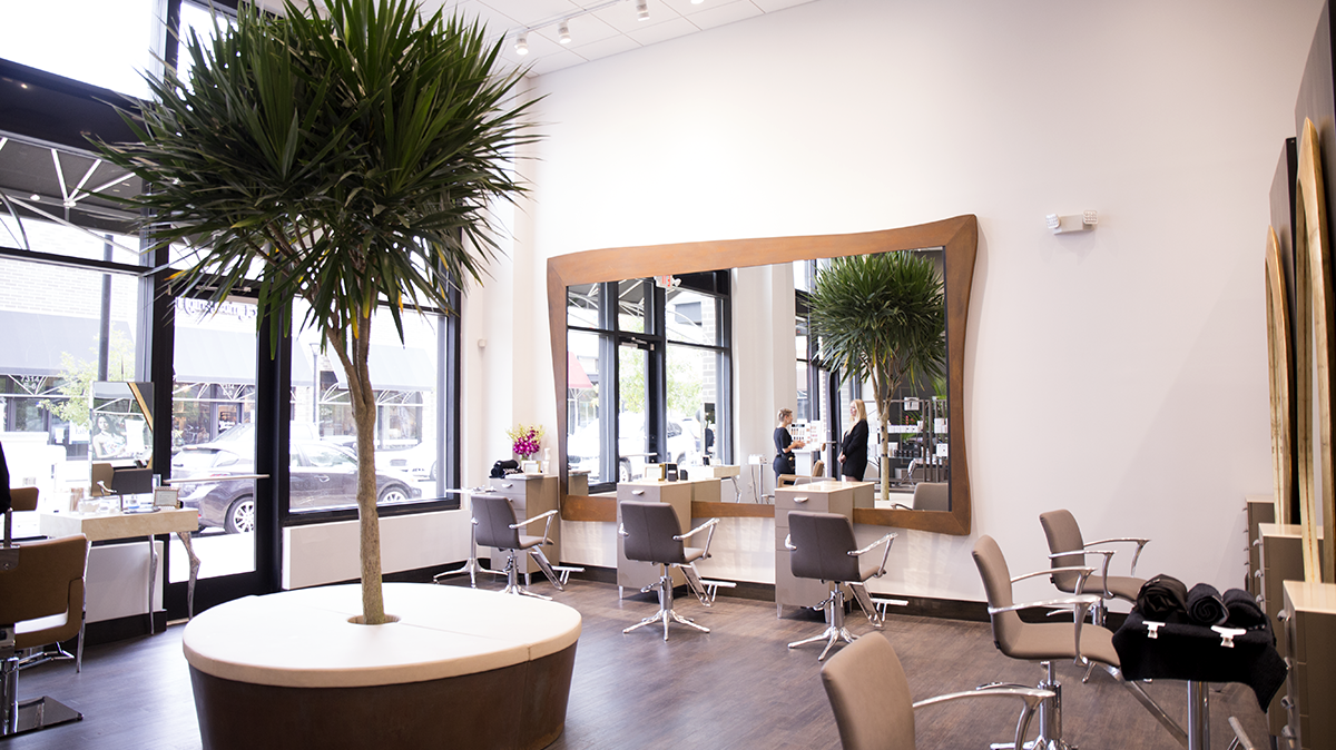 Modern Spa Waverly