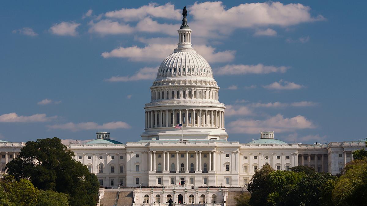 Some voters believe strict term limits for Congress could help diminish the acrimony and  hypocrisy on both sides of the aisle. Talk of term limits for Supreme Court justices has also resurfaced amid the battle over President Trump’s Supreme Court nominee Amy Coney Barrett.