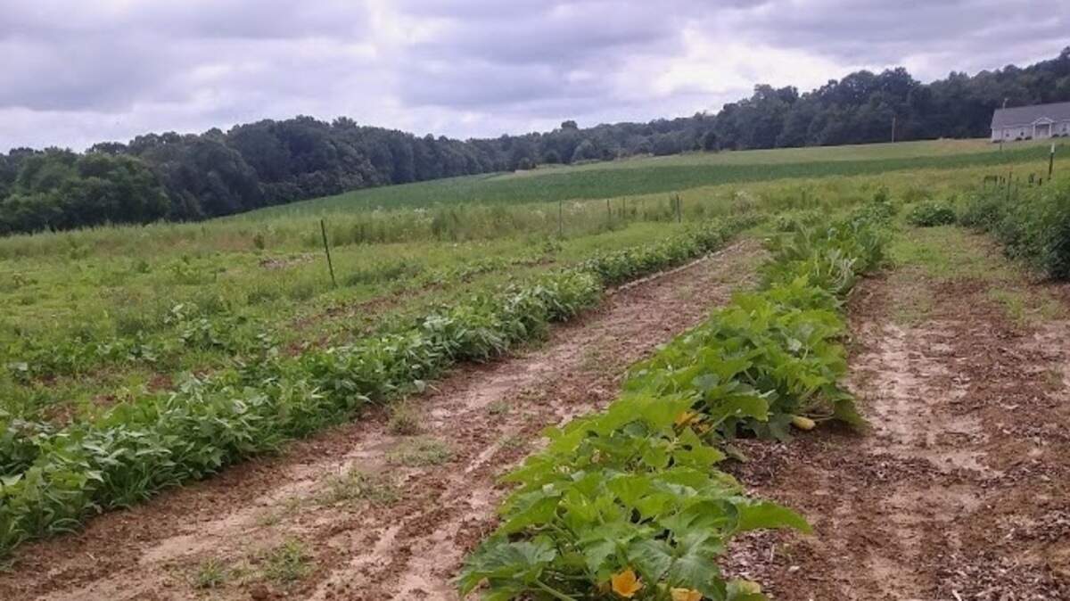 Courtesy of Carolina Farm Trust