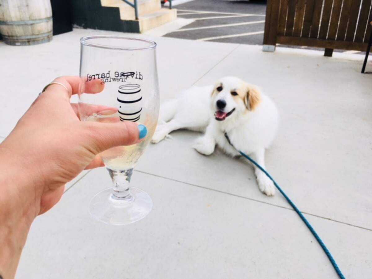 Kombucha at Divine Barrel Brewing. Photo by Katie Toussaint
