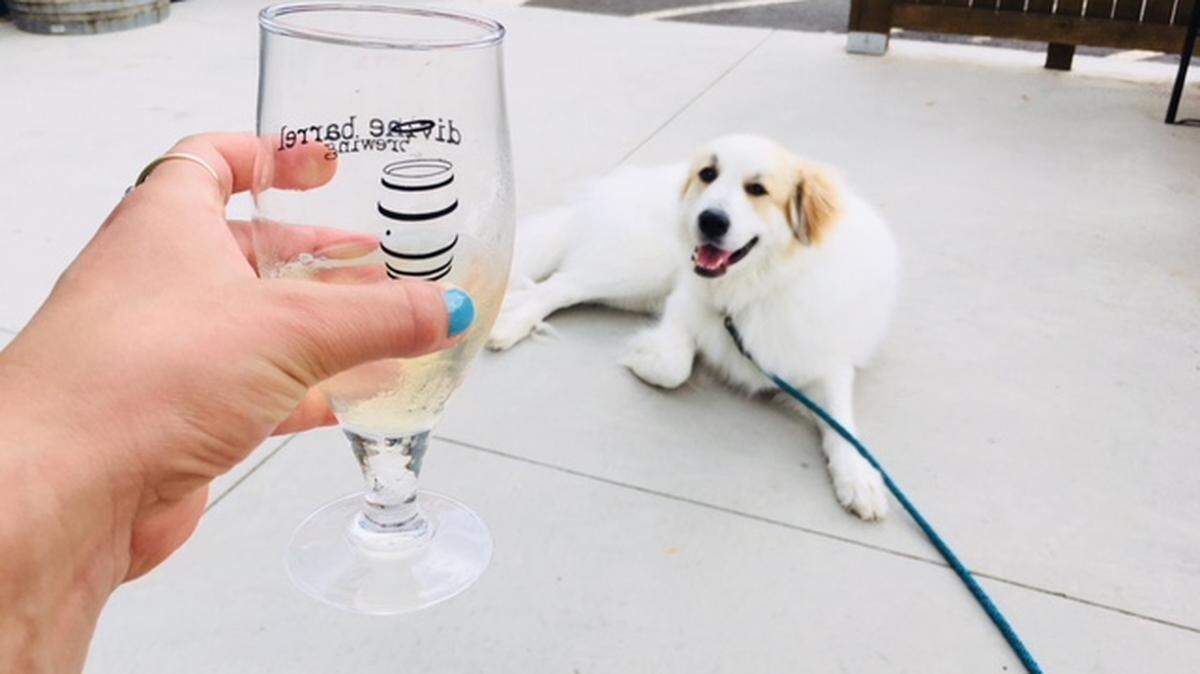 Kombucha at Divine Barrel Brewing. Photo by Katie Toussaint
