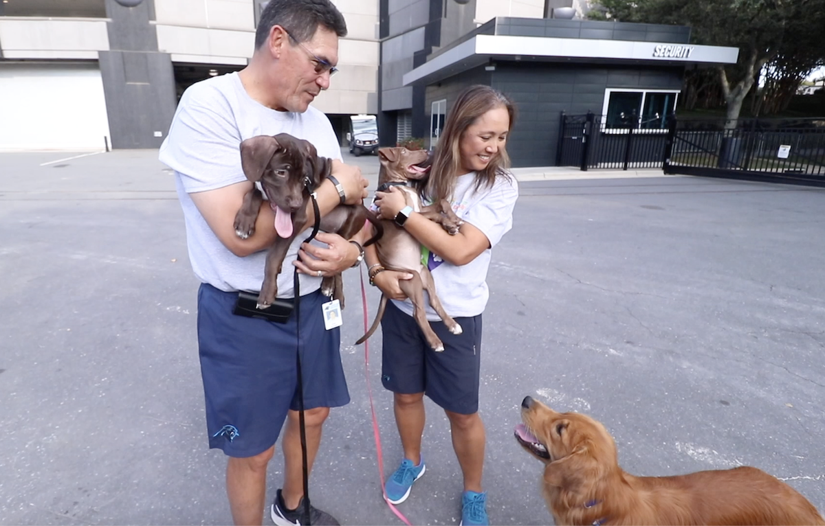 Ron and Stephanie Rivera with Shake and Bake, puppies available for adoption from The Humane Society. Their golden retriever, Tahoe, looks on at Bank of America Stadium in September 2019.
