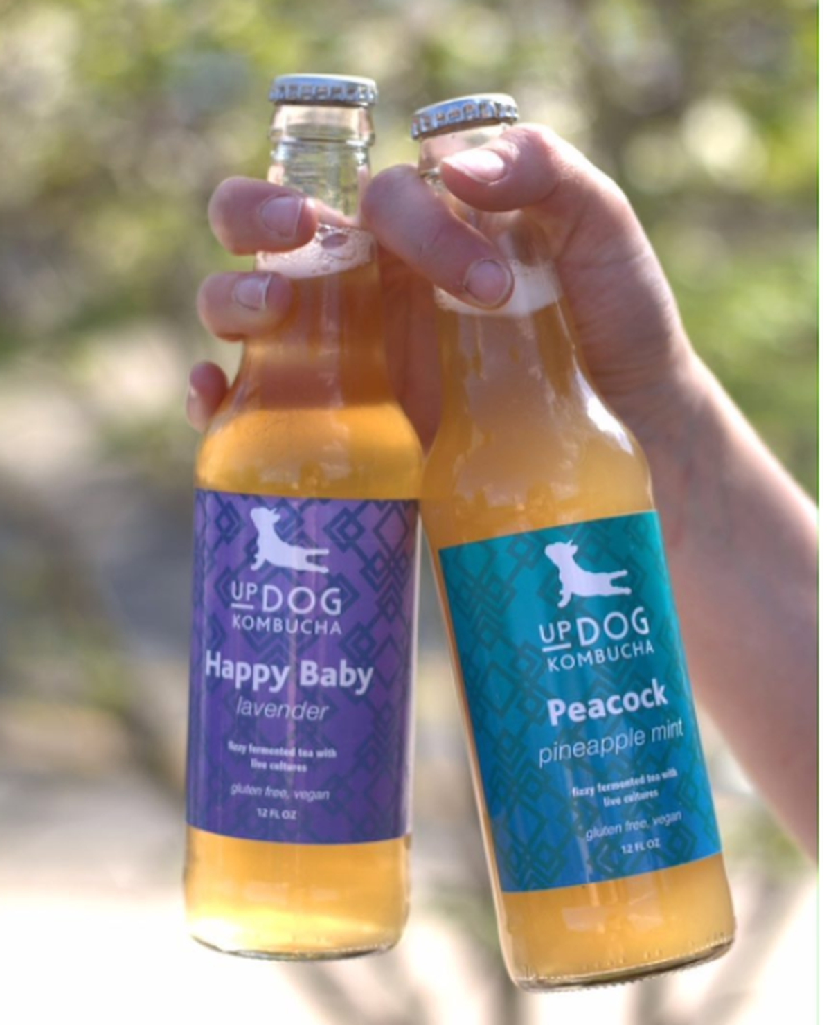 Photo courtesy of Updog Kombucha