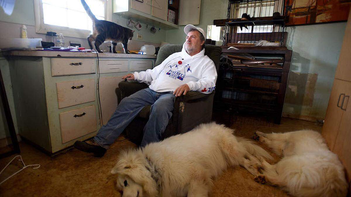 Charlie Fisher with some of his Great Pyrenees and cats at the shelter he runs. Photo by Diedra Laird, Charlotte Observer