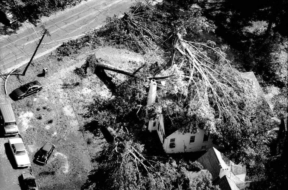 The Charlotte Observer file photo<br/>A house in the Queens Road area was damaged by two falling trees.