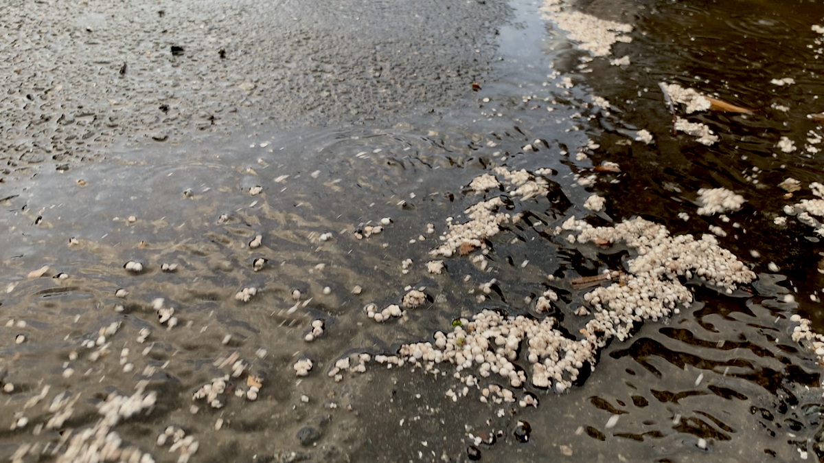 Photo by Alex Cason<br/>Styrofoam collects along with rainwater on Thursday, Sept. 12, at 7:14 p.m. at the corner of Church and 3rd streets in uptown Charlotte.