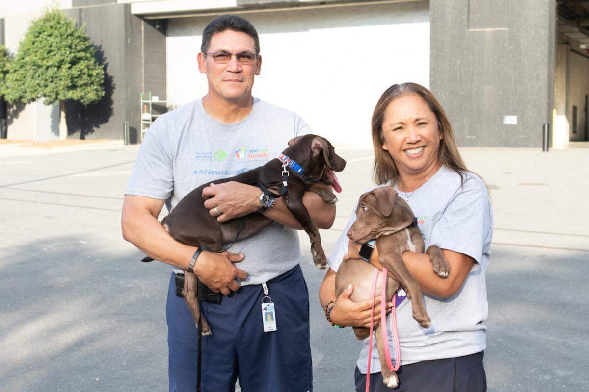 Alex Cason Photography<br/>Ron and Stephanie Rivera hold lab mix brothers Shake and Bake