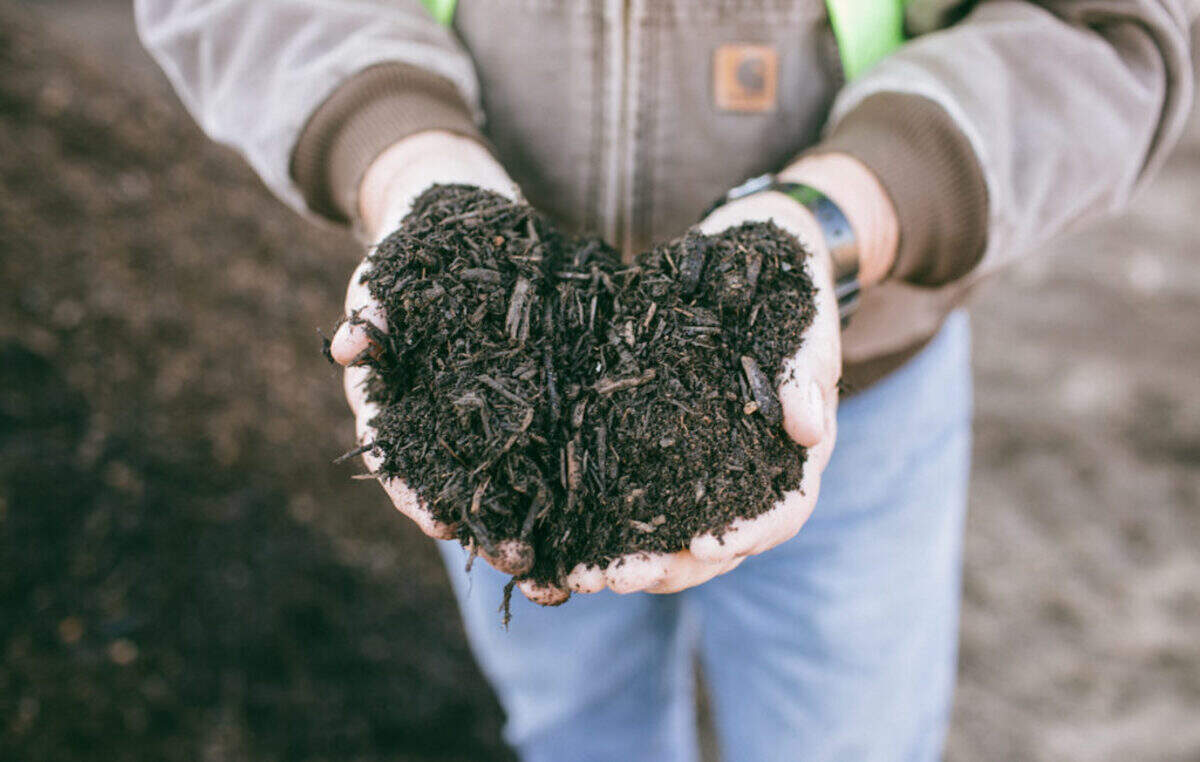 Courtesy of Crown Town Compost