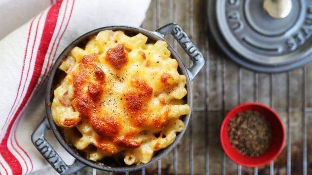 CharlotteFive files<br/>Mac and cheese at JackBeagle’s.