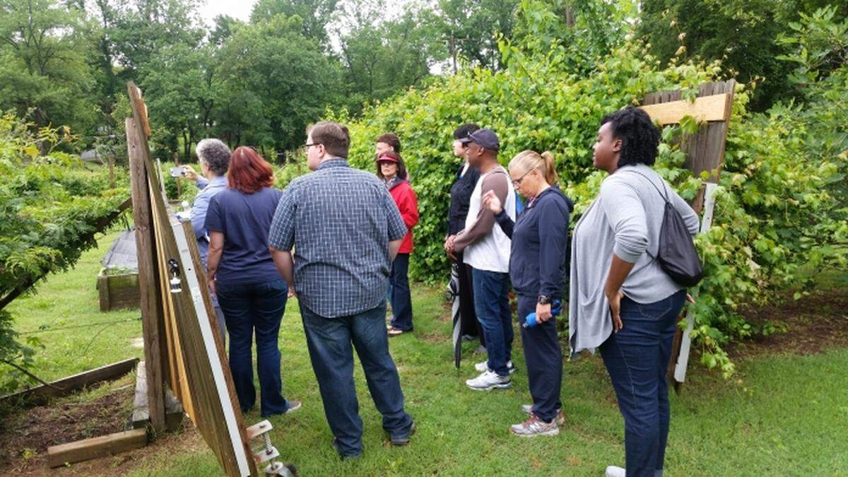 Revolution Park resident John Howard shows a City Walk group the neighborhood community garden along a greenway beside Irwin Creek.