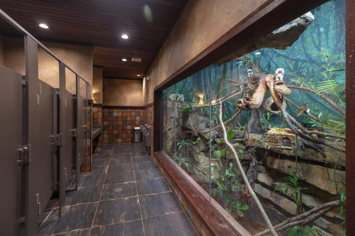 Photo by Byron Jorjoria<br>The Nashville Zoo restroom in Nashville, Tennessee.