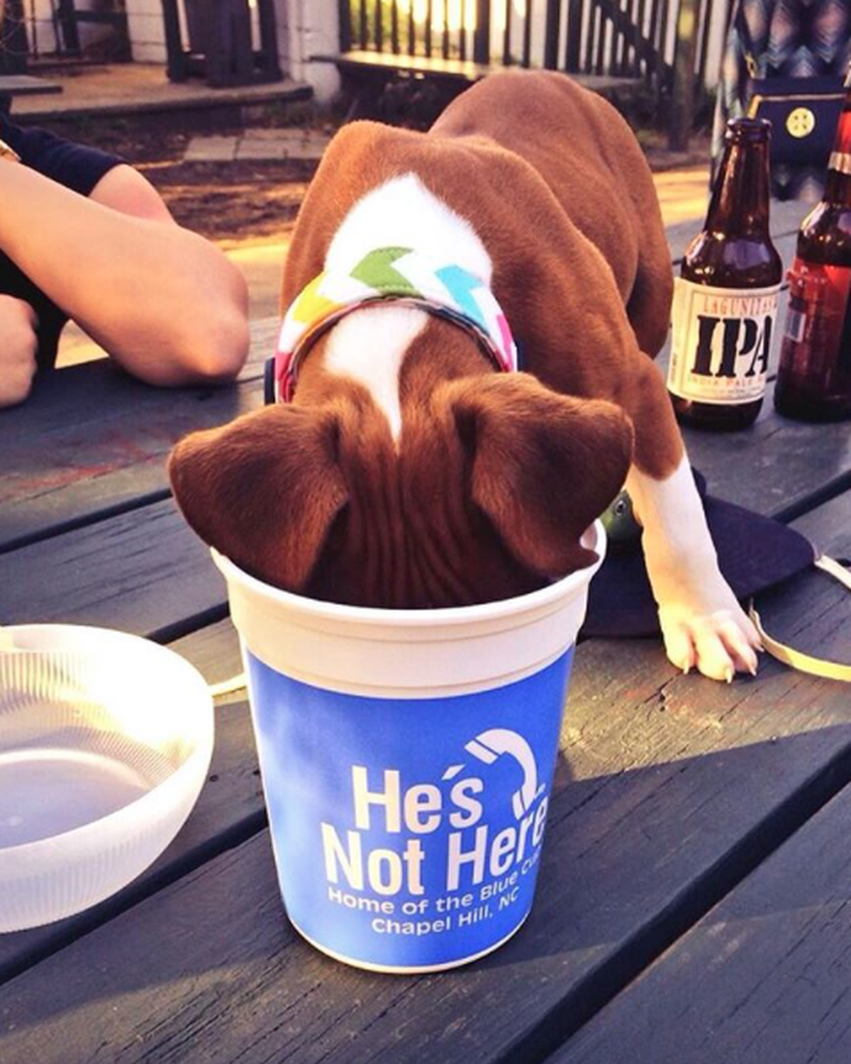via He's Not Here's Instagram