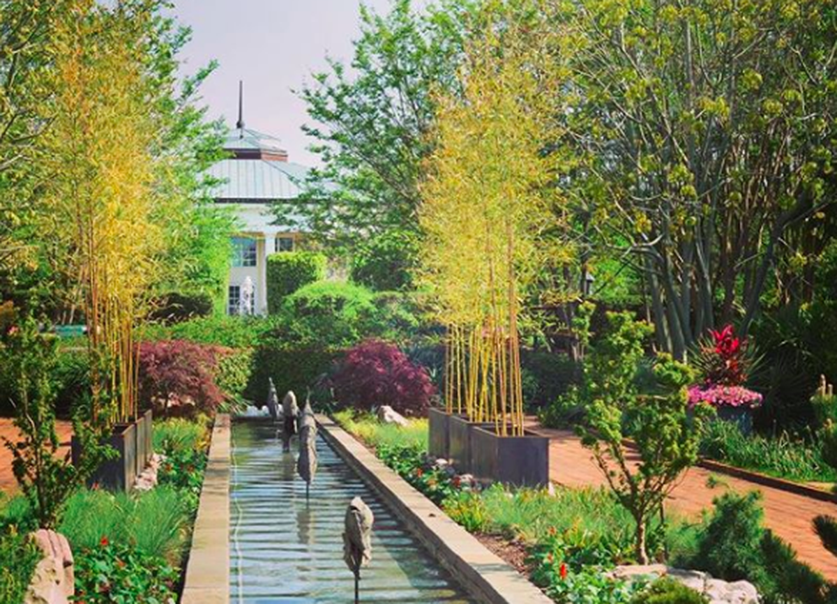 Daniel Stowe Botanical Garden in Belmont reopened May 28 to members only after closing in mid-March because of the coronavirus pandemic.