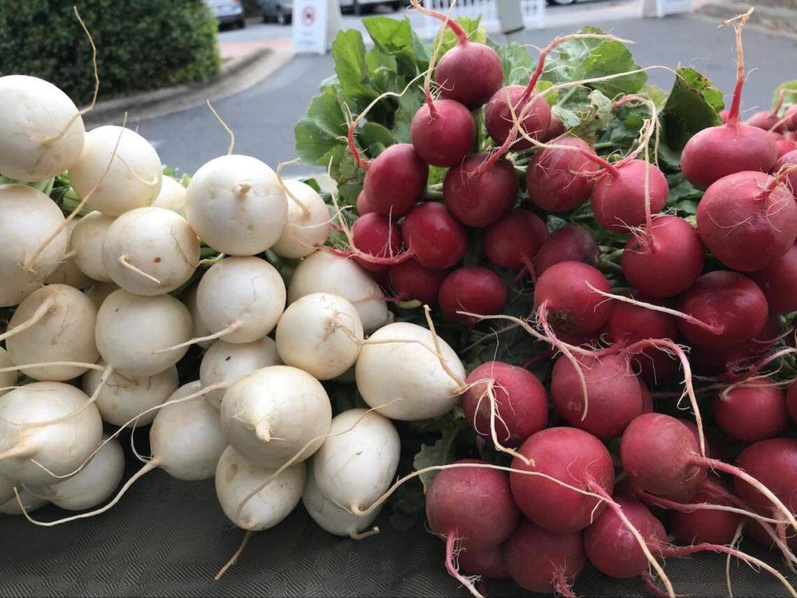 ’Tis the season for these root vegetables: Sweet white Hakurie turnips and spicy red radishes from Rowlands Row Farms at the Davidson Farmers’ Market.