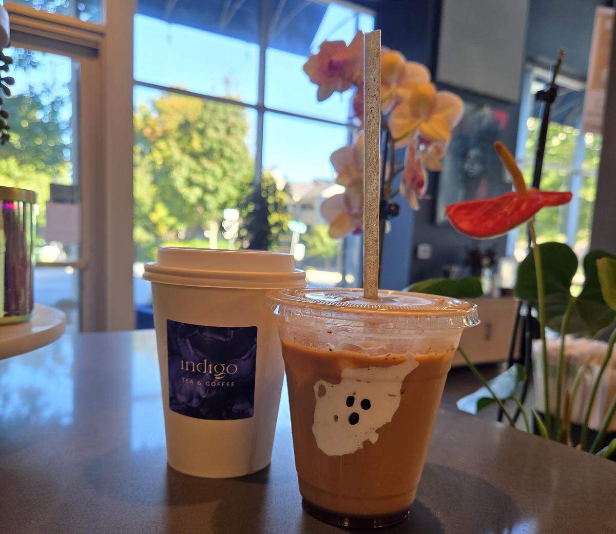 Two branded coffee or tea drinks sit on a counter in front of a bright window, with a large, delicate orchid plant next to them. The clear plastic iced drink features a playful ghost shape made of white cream floating on top, next to a white paper hot cup.