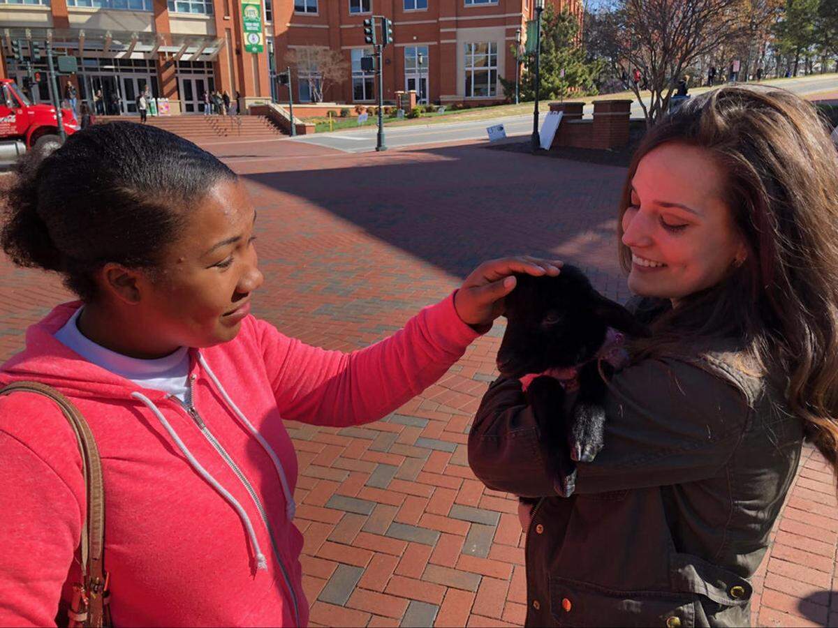 Photo via Kelsey Joseph<br/>Activism at UNCC