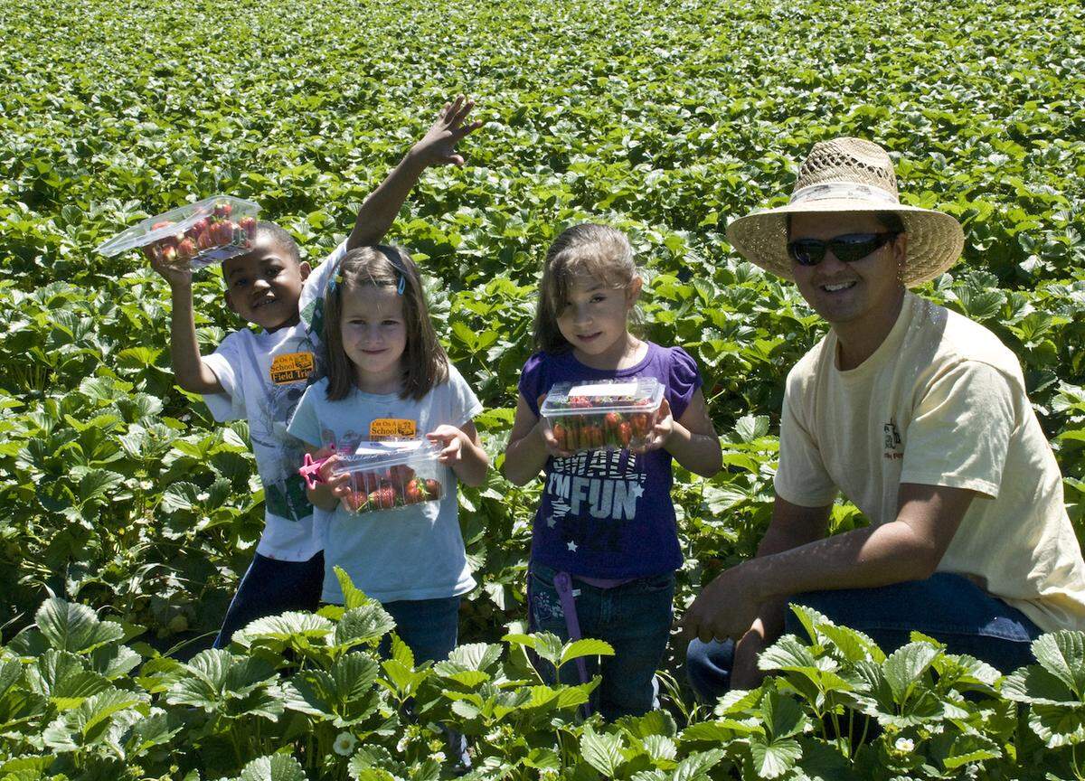 Kevin Hall, owner of Hall Family Farm, and kindergarten students from Lebanon Road Elementary School in this file photo.