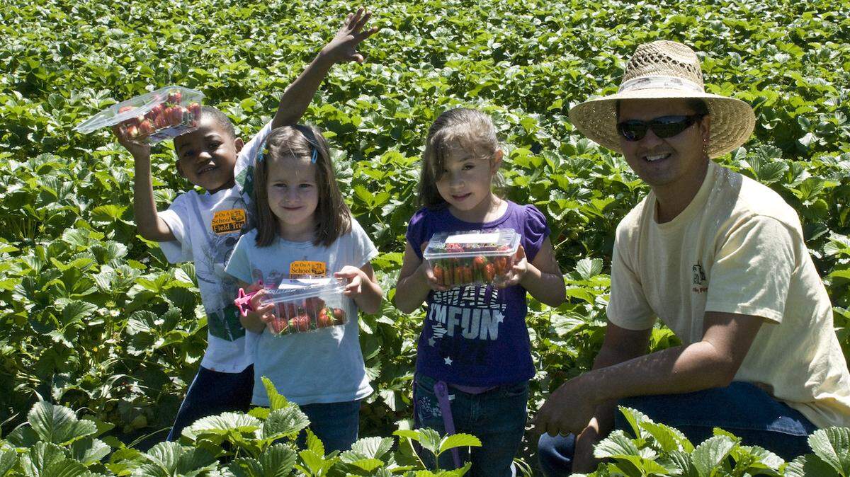 File photo / Mark Brown / Charlotte Observer<br/>Kevin Hall, owner of Hall Family Farm, and kindergarten students from Lebanon Road Elementary School