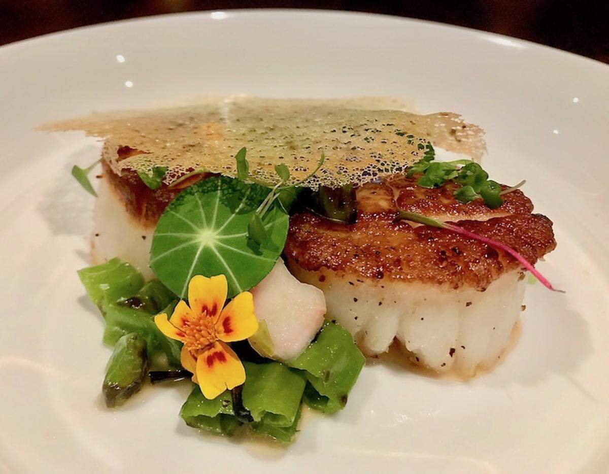 Sea Scallops