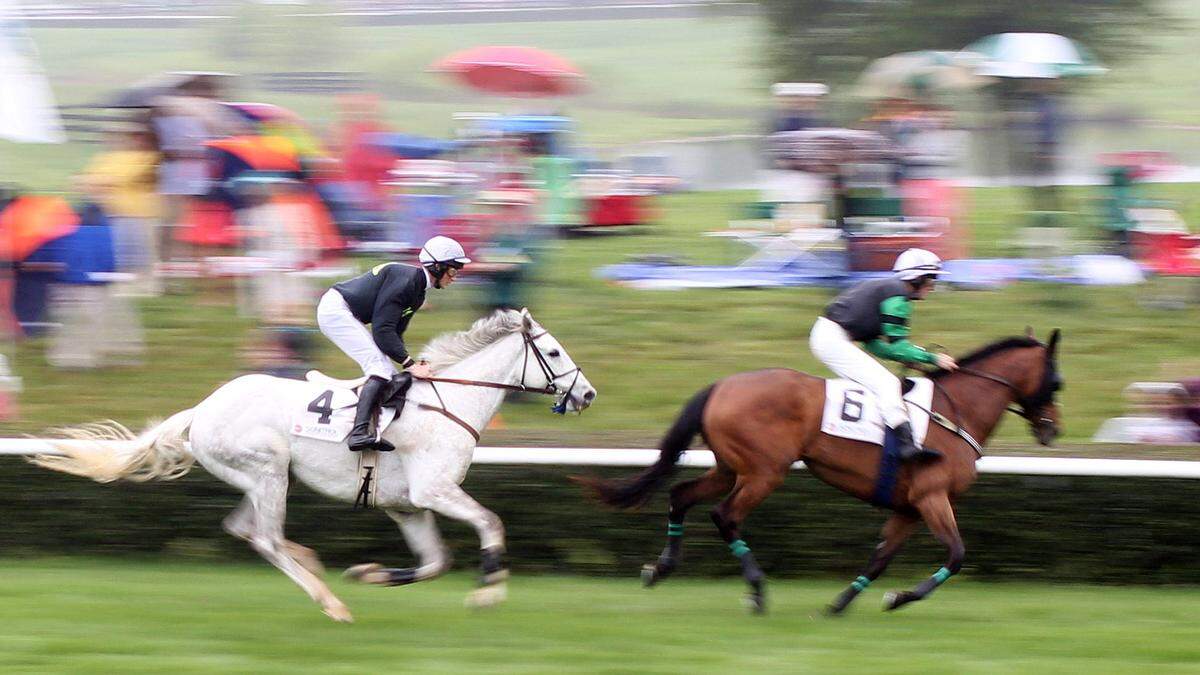 The Queen’s Cup Steeplechase is ending its long run as a premier Charlotte-area sporting event.