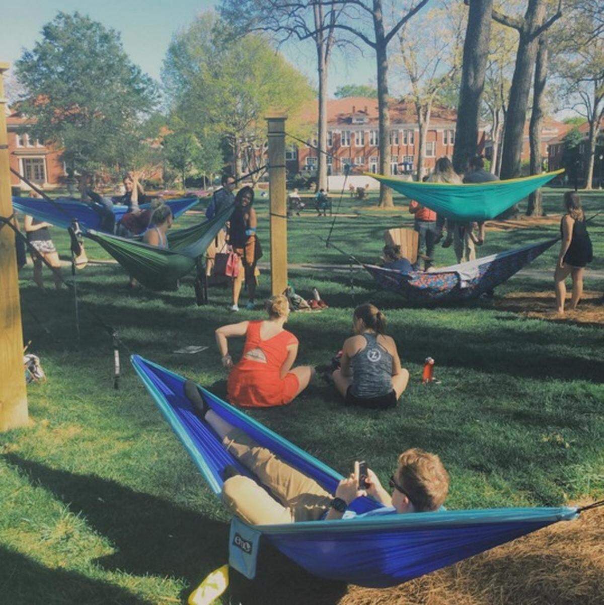 A glimpse of student life during the year
