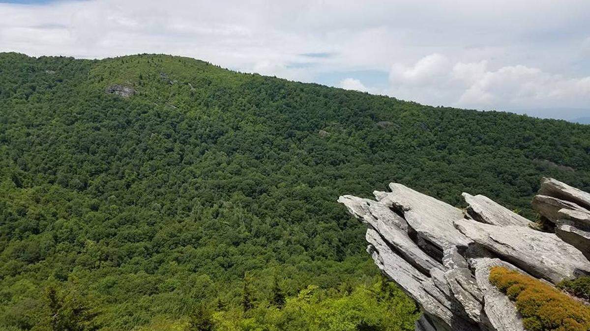 The view across the deep valley adjoining Calloway Peak, as seen from the Cragway Trail. Photo by Ely Portillo