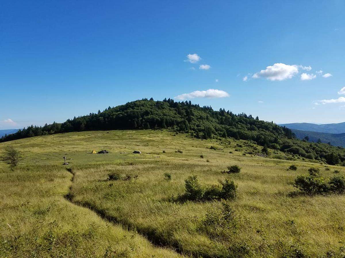 A campsite off the Virginia Highlands Trail, just south of the Appalachian Trail. Can you see the yellow tent in the distance?