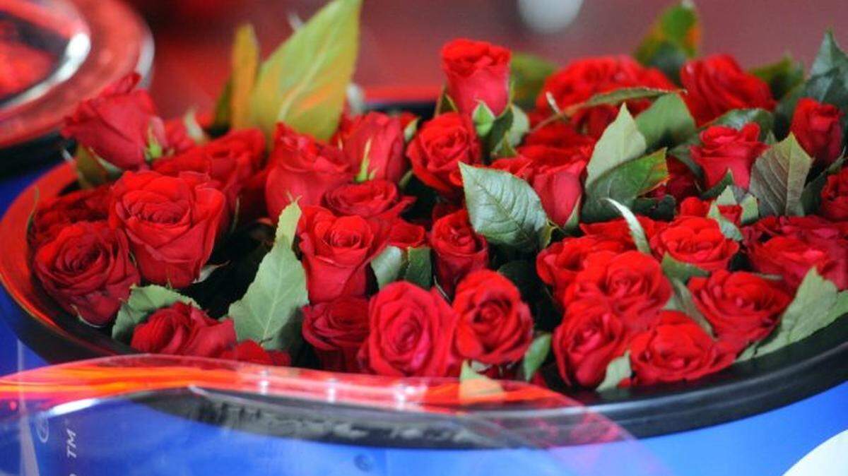 Roses are bunched in a container before being given out by a representative from Zico Coconut Water during an open casting call for the show "The Bachelor"  in Suite at the EpiCentre on Thursday, June 18, 2015. Romantics and reality TV lovers had the chance to follow in Charlotte bachelorette Emily Maynard's footsteps Thursday, when an open casting call for "The Bachelor" was held. The open casting call looked for potential contestants for "The Bachelor" and "The Bachelorette", which was open to anyone 21 years old or older. Casting coordinators expected to see 100-200 applicants come through their yearly stop in Charlotte.