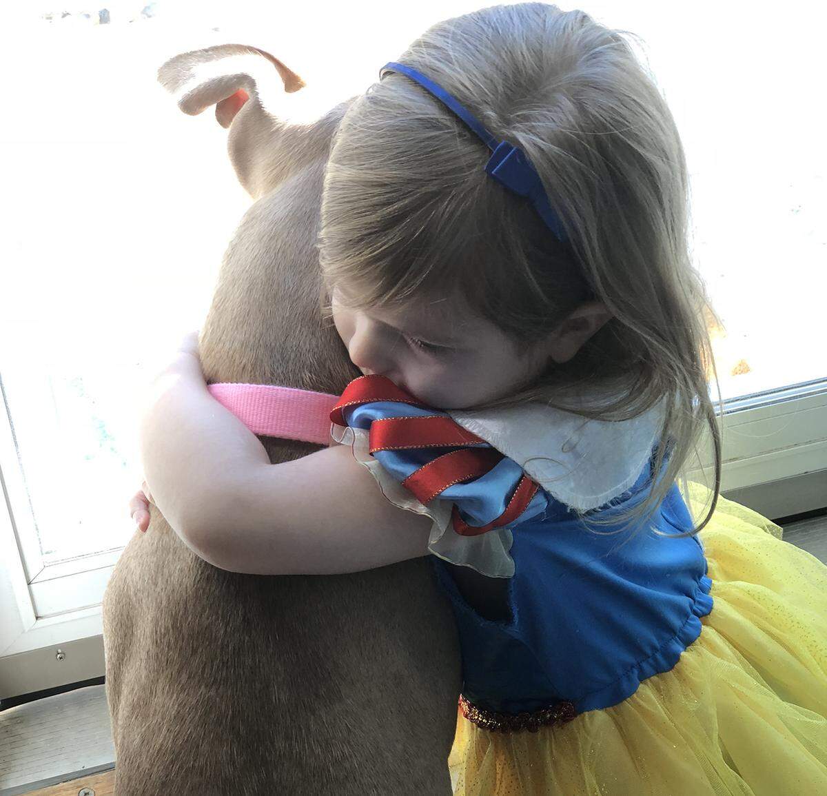 Courtesy of Humane Society of Charlotte