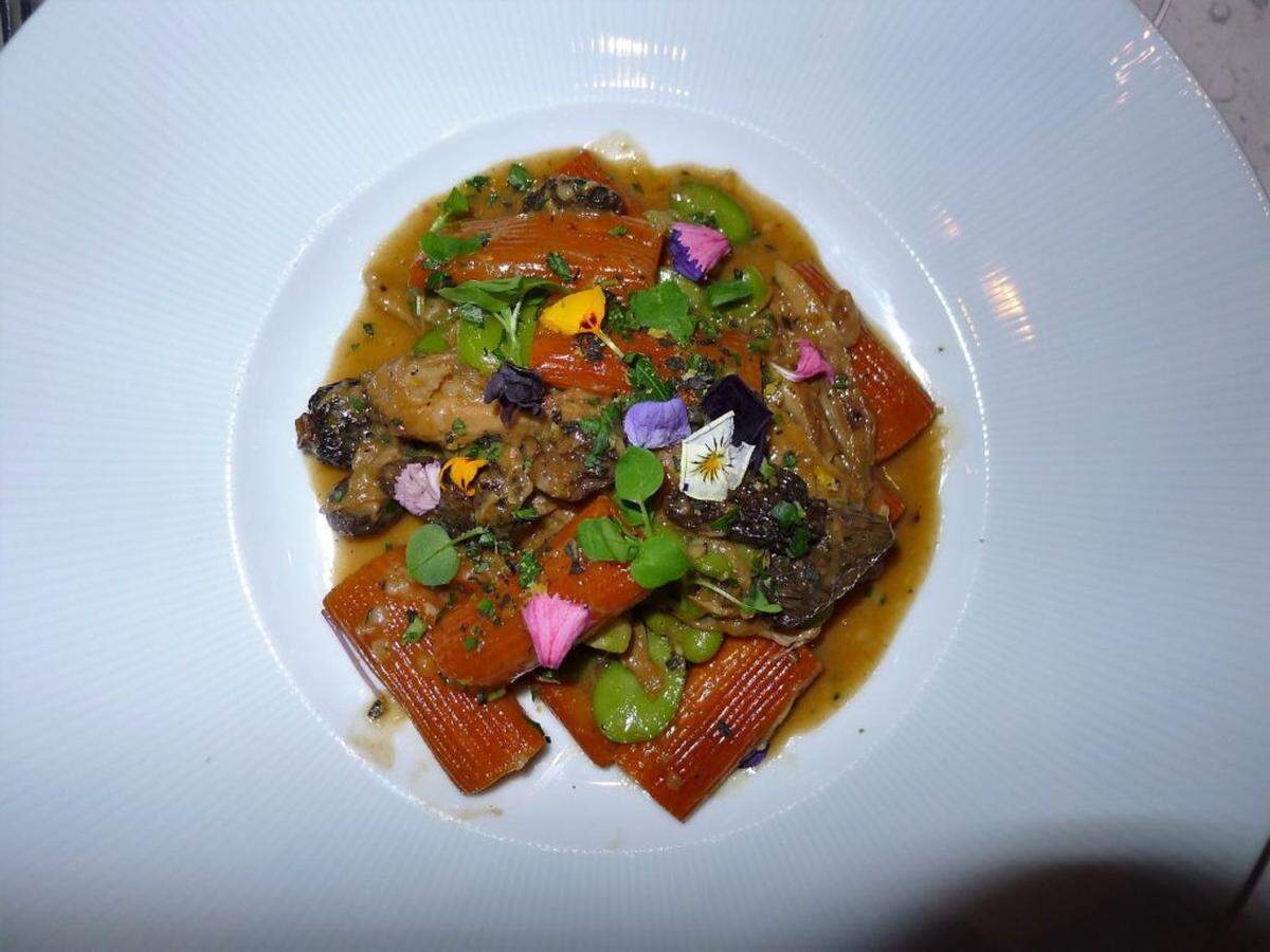 Slow Braised Rabbit and Morel Ragu with Rigatoni