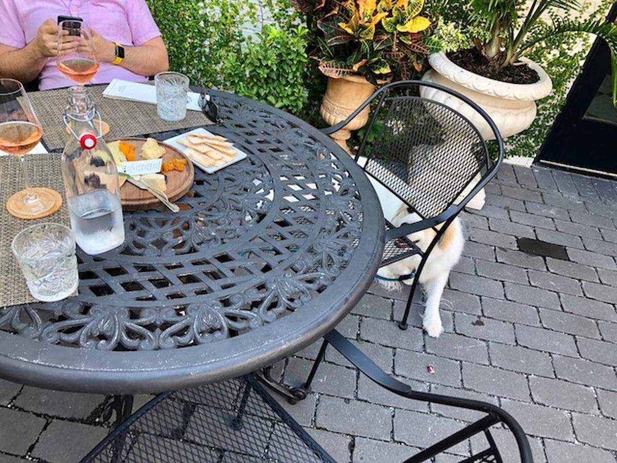 Patio at Goat. Sheep. Cow. in Charleston, SC. Photo by Katie Toussaint