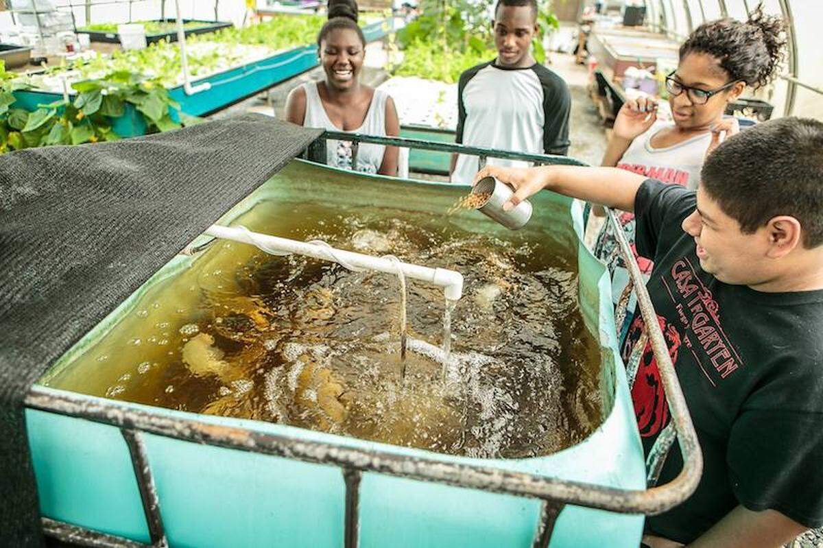 100 Gardens aquaponic systems