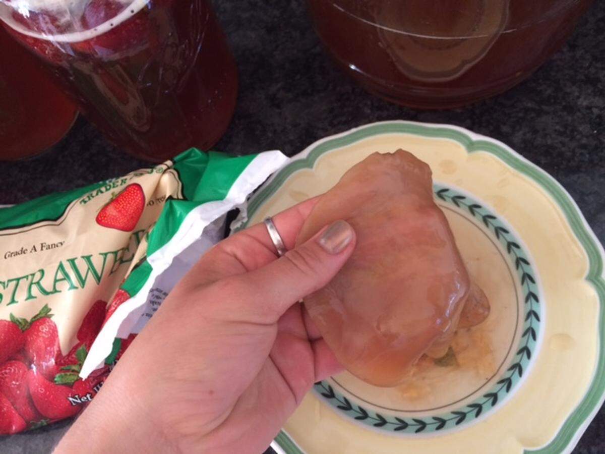 Septimus the scoby.