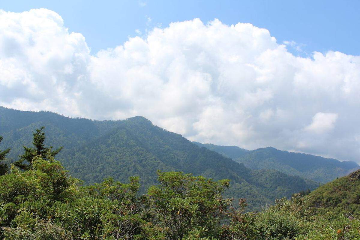 Smoky Mountain view