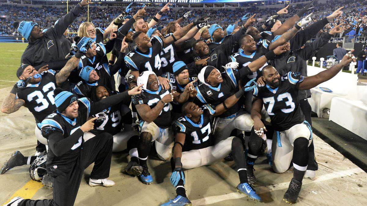 Members of the Carolina Panthers point to the stands as they pose for a photo while celebrating  their impending victory over the Tampa Bay Buccaneers late in the fourth quarter at Bank of America Stadium on Sunday, January 3, 2016. The Panthers won 38-10, and secured home field through the playoffs.