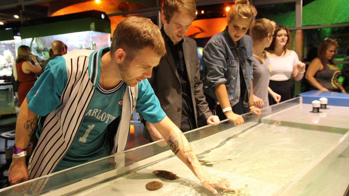 Courtesy of Discovery Place