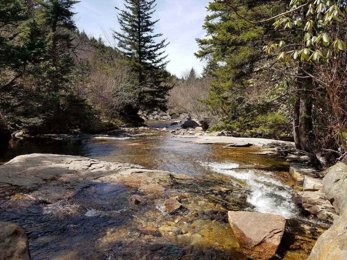 Flat Laurel Creek, where campsites abound.