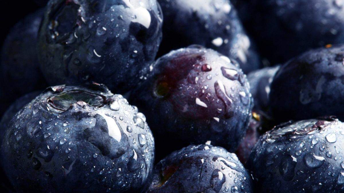 Blueberries are known for their high levels of antioxidants, which help prevent cell damage. (Eric Paul Zamora/Fresno Bee/MCT)