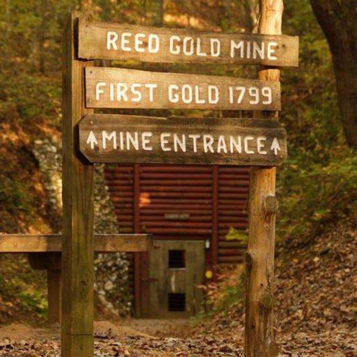 Reed Gold Mine State Historic Site has free admission, and it’s only $3 to mine for gold.