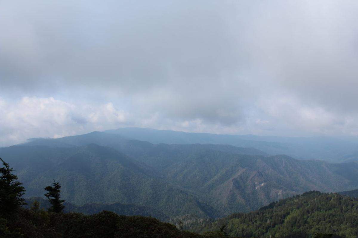 The view. Photo by Jessica Swannie
