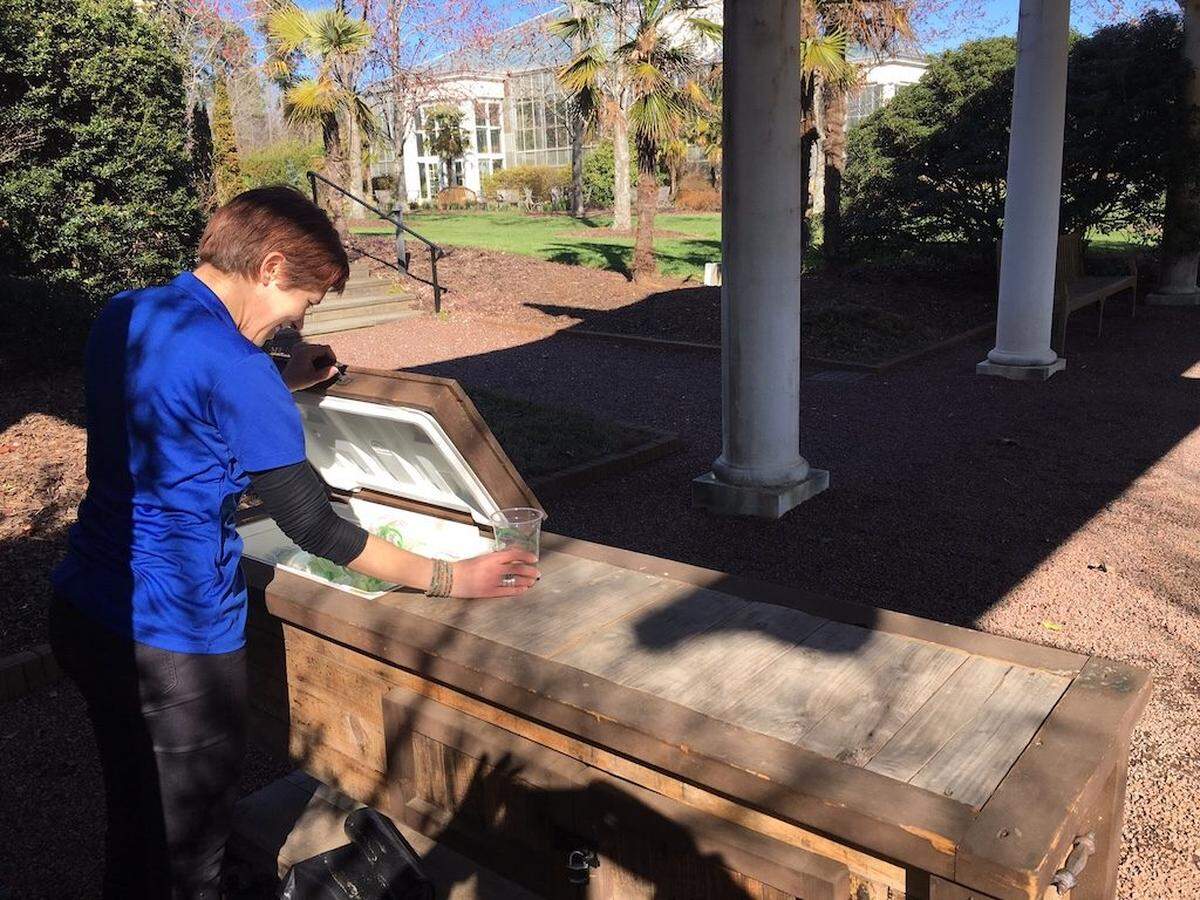 Beer Garden in the works. Photo courtesy of DSBG.