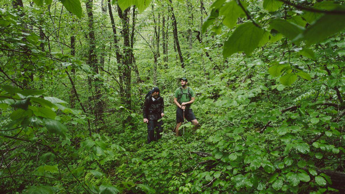 Hiking from the end of the Road to Nowhere to the Most Remote Spot in North Carolina, Smoky Mountains NP, NC. For Our State Magazine.